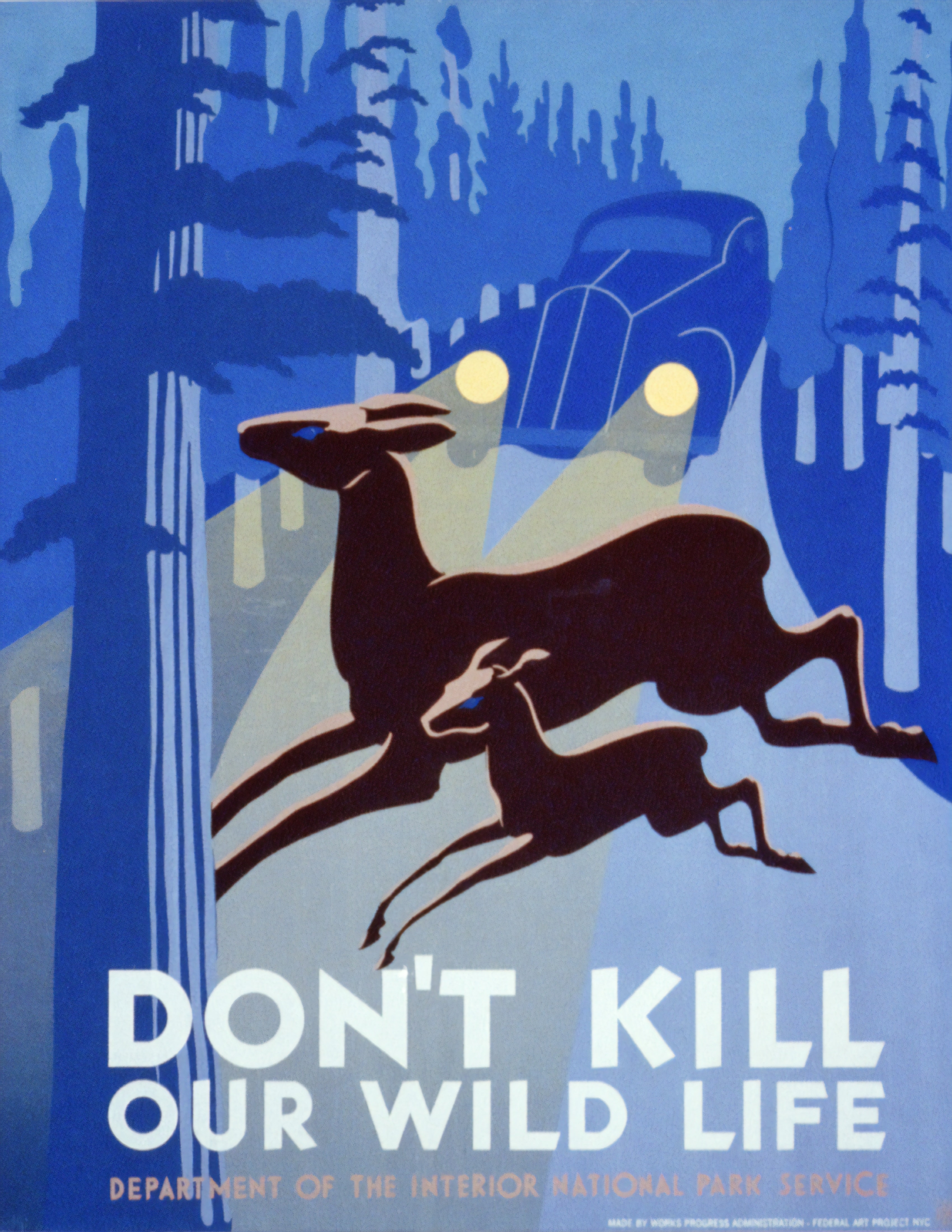 Deux biches avec marqué : don't kill our wild life